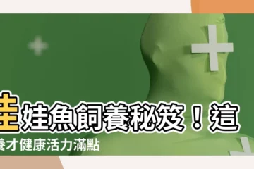 【娃娃魚怎麼養】娃娃魚飼養秘笈！這樣養才健康活力滿點