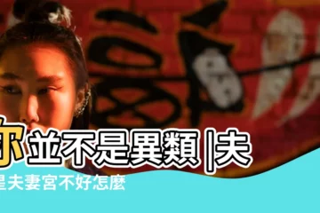 【婚姻不好的人】你並不是異類 |夫妻星夫妻宮不好怎麼辦 |你的八字究竟是怎樣的 |