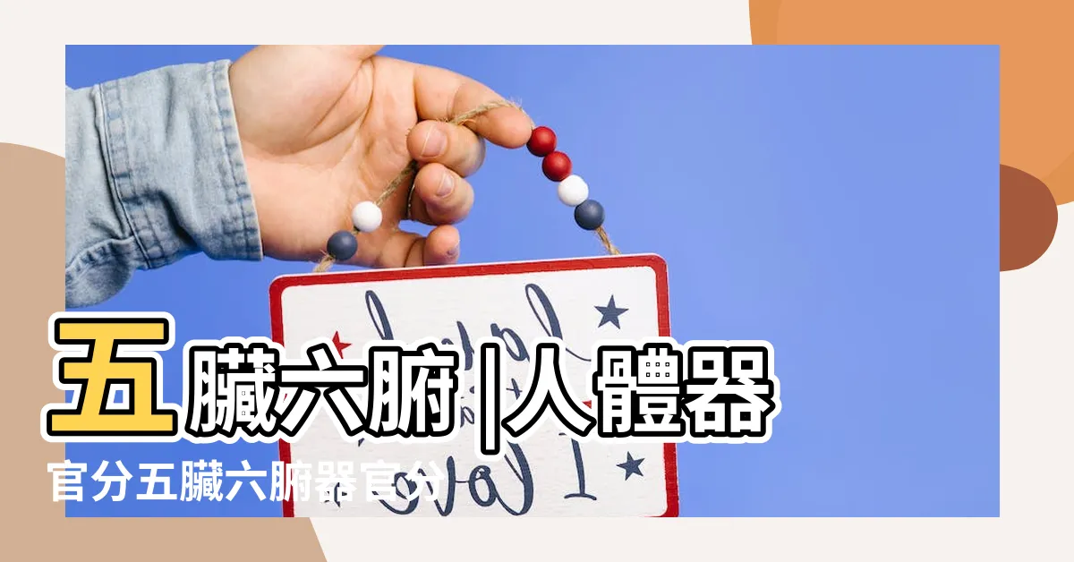 【五臟位置】五臟六腑 |人體器官分五臟六腑器官分佈圖 |清晰大圖看各個 |