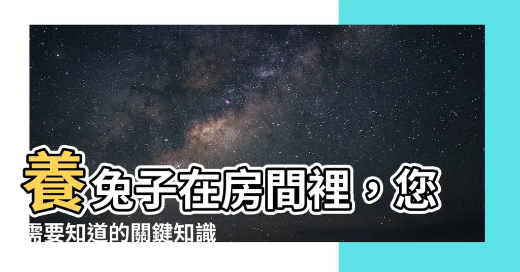 【兔子可以養在房間嗎】養兔子在房間裡，您需要知道的關鍵知識！