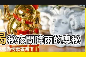 【晚上下大雨】揭秘夜間降雨的奧秘：夜晚為何更容易下起傾盆大雨？