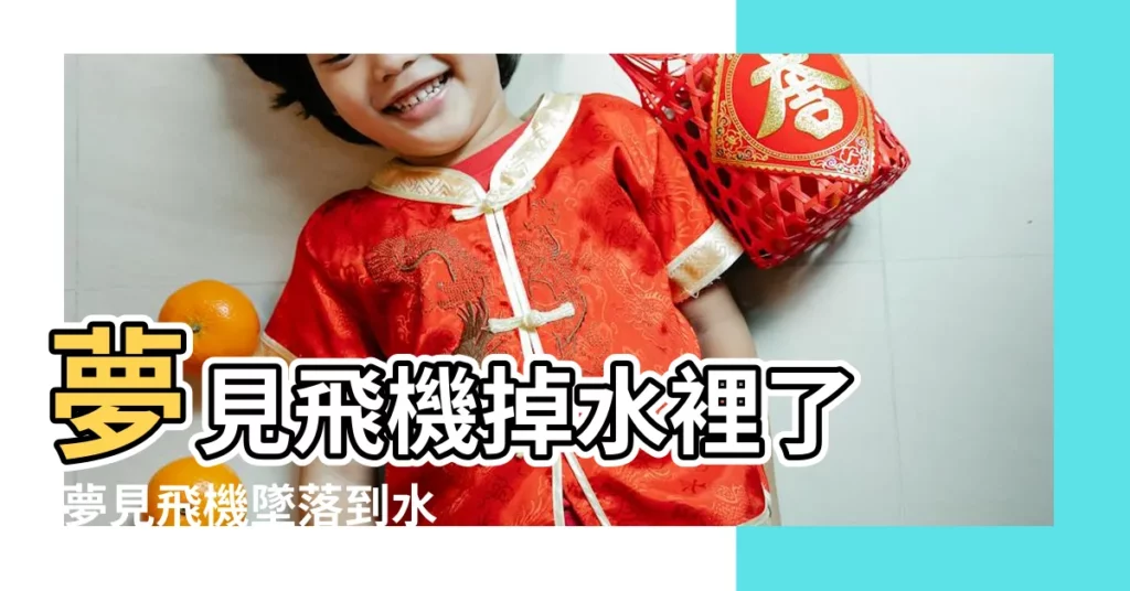 夢見飛機掉水裡了 |夢見飛機墜落到水裡 |夢見飛機掉水裡 |【夢見飛機掉落在水中】