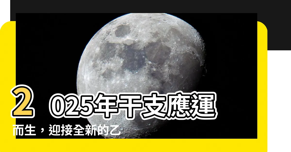 【2025年干支】2025年干支應運而生，迎接全新的乙巳年！