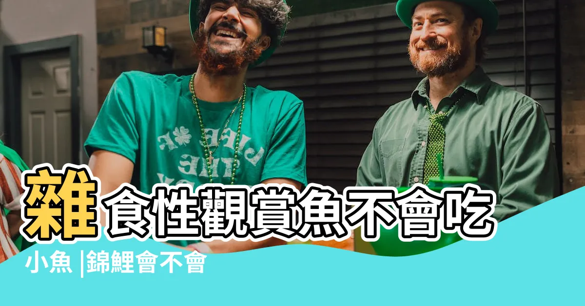 【錦鯉會吃小魚嗎】雜食性觀賞魚不會吃小魚 |錦鯉會不會吃小魚 |可以和小型魚混養嗎 |