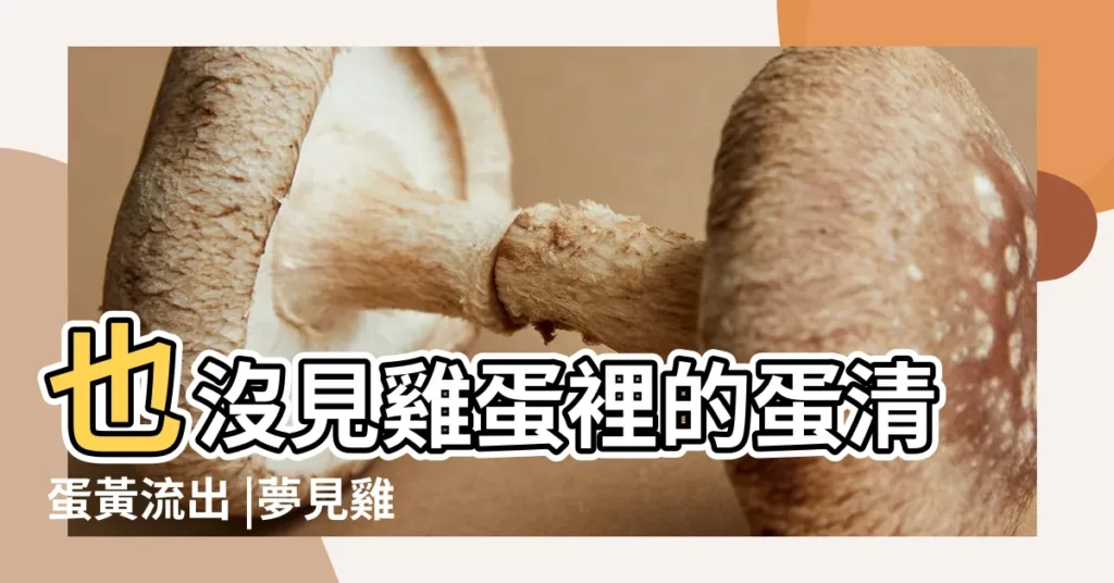 也沒見雞蛋裡的蛋清蛋黃流出 |夢見雞蛋被打碎 |雞蛋碎了2個 |【夢見雞蛋打在被子裏】