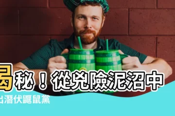 【從兇險和泥濘的沼澤中】揭秘！從兇險泥沼中揪出潛伏鼴鼠黨