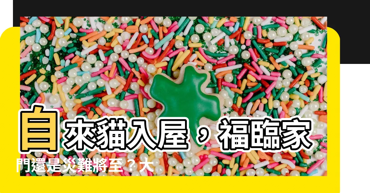 【自來貓入屋】自來貓入屋，福臨家門還是災難將至？大師詳解！