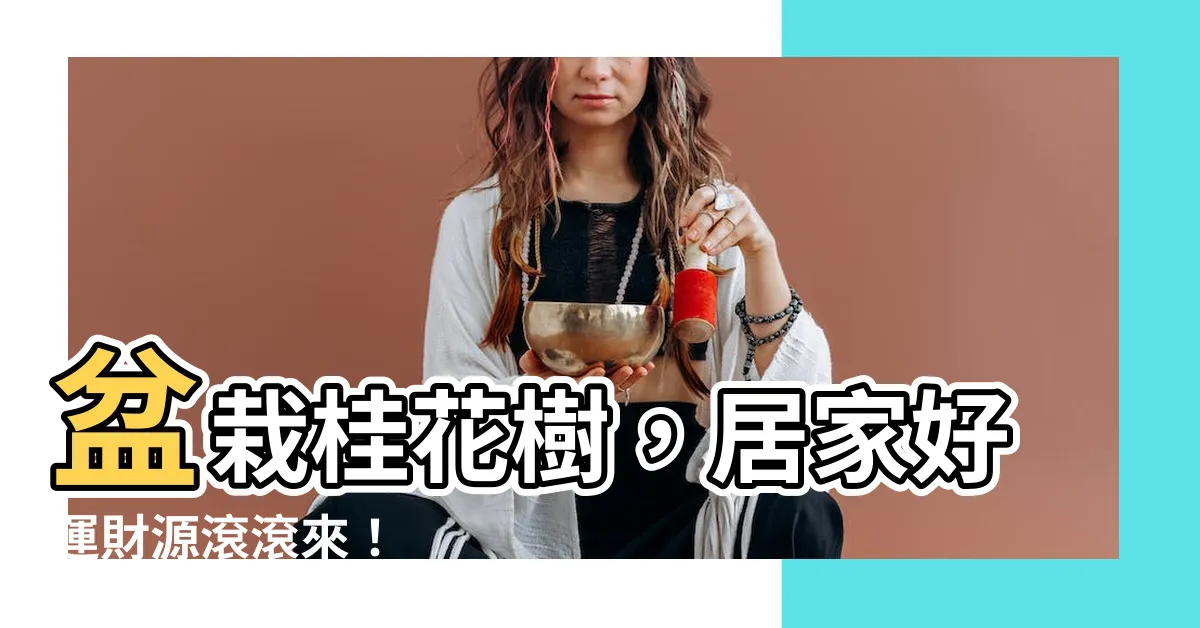 【桂樹風水】盆栽桂花樹，居家好運財源滾滾來！