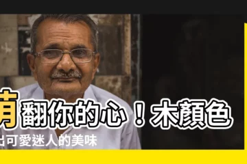 【木顏色畫食物】萌翻你的心！木顏色繪出可愛迷人的美味佳餚