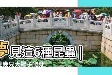 【夢見牆上好多蠍子】夢見這6種昆蟲 |夢見幾只大蠍子爬身上 |夢見一羣蠍子 |