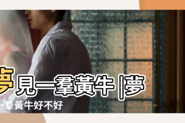 【做夢夢到一羣黃牛】夢見一羣黃牛 |夢到一羣黃牛好不好 |做夢夢見大黃牛好不好 |
