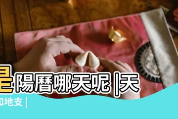 【丁酉年醜時是丁丑時嗎】是陽曆哪天呢 |天干和地支 |