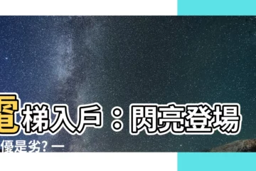 【電梯入户】電梯入户：閃亮登場! 是優是劣? 一探究竟