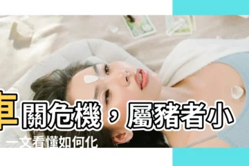 【如何避免車關】車關危機，屬豬者小心！一文看懂如何化解避險