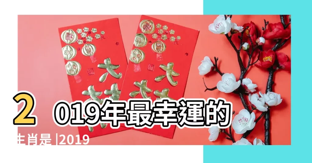 2019年最幸運的生肖是 |2019豬年十二生肖運程 |十二生肖流年運勢大公開 |【十二運程2019】