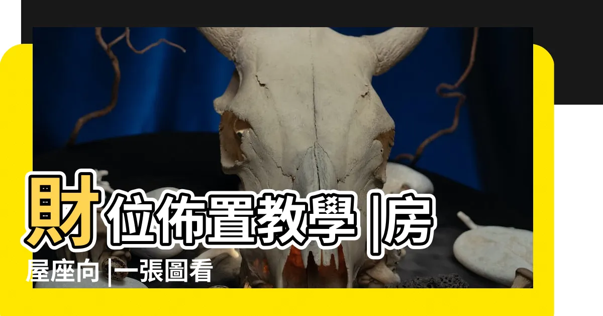 【房子坐向風水】財位佈置教學 |房屋座向 |一張圖看懂4 |