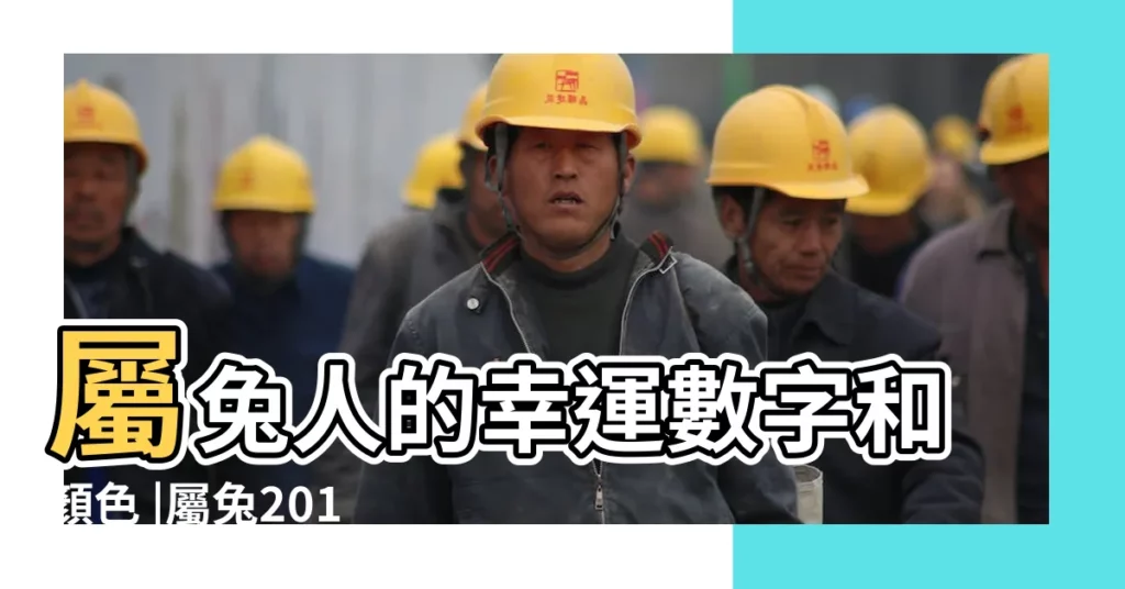 屬兔人的幸運數字和顏色 |屬兔2017年幸運顏色和幸運數字 |屬兔2017年屬兔幸運顏色和數字 |【2017兔的數字】