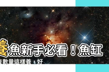 【魚缸魚隻數量】養魚新手必看！魚缸魚隻數量這樣養，好運財富來找你