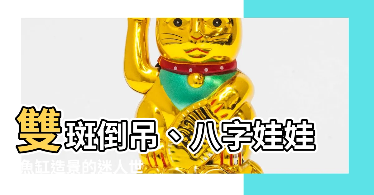 【八字娃娃魚】雙斑倒吊、八字娃娃 魚缸造景的迷人世界
