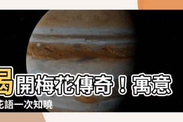 【梅花寓意】揭開梅花傳奇！寓意、花語一次知曉
