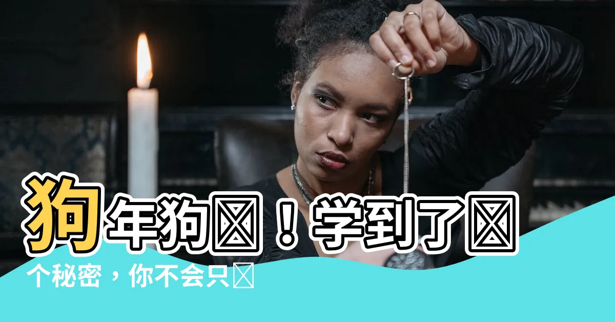【養三隻狗】狗年狗瘋！學到了這個秘密，你不會只養一隻狗了！