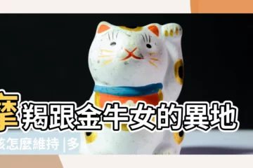 【摩羯座金牛座異地戀】摩羯跟金牛女的異地戀該怎麼維持 |多一些浪漫男方多主動 |摩羯女和金牛男異地戀 |