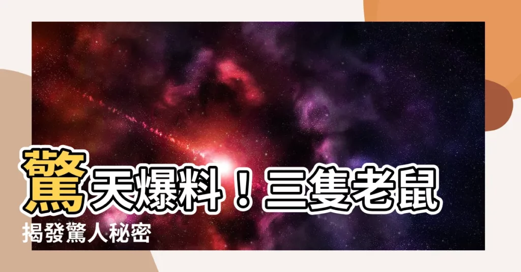 【鼠】驚天爆料！三隻老鼠揭發驚人秘密