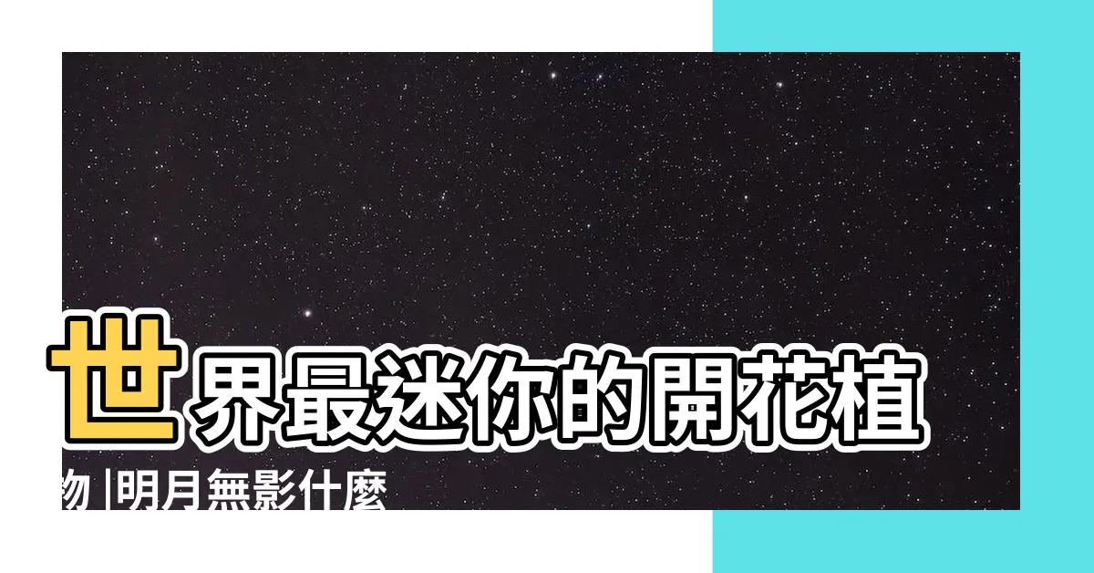 【無根的浮萍】世界最迷你的開花植物 |明月無影什麼意思 |浮萍無根 |