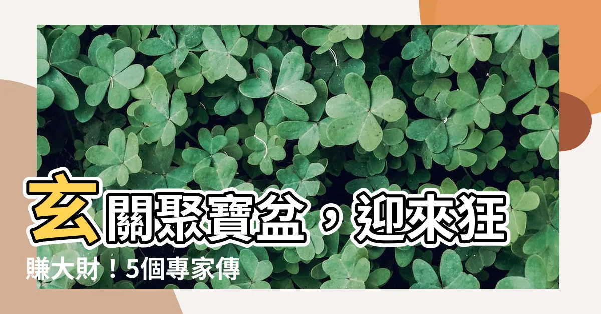 【玄關聚寶盆】玄關聚寶盆，迎來狂賺大財！5個專家傳授的招財秘笈
