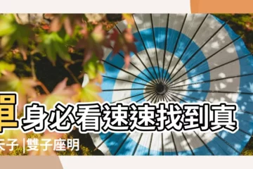 【雙子座17年8月24日的】單身必看速速找到真命天子 |雙子座明日運勢 |看這篇超 |