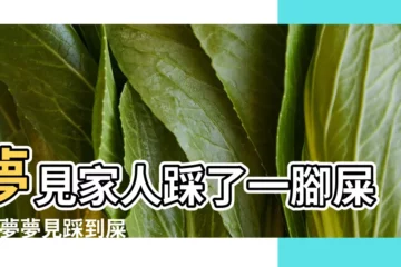 【夢見大便並且踩了】夢見家人踩了一腳屎 |做夢夢見踩到屎踩到大便好不好 |夢見廁所踩到屎 |