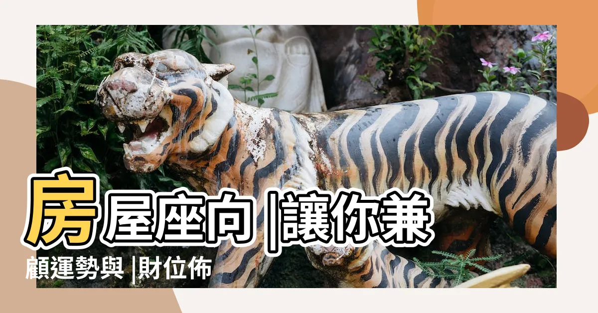 【房屋風水方位】房屋座向 |讓你兼顧運勢與 |財位佈置教學 |