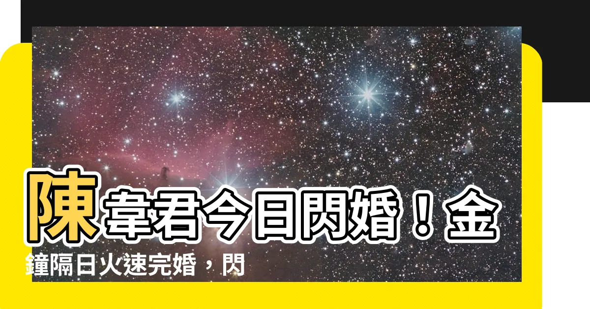 【陳韋君結婚】陳韋君今日閃婚！金鐘隔日火速完婚，閃電速度令人措手不及