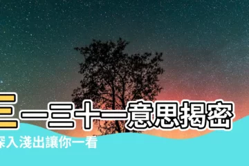 【三一三十一意思】三一三十一意思揭密：深入淺出讓你一看就懂！