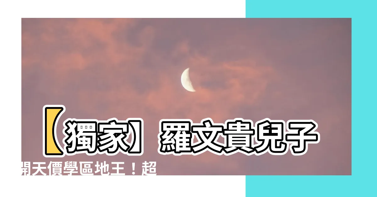 【羅文貴兒子】【獨家】羅文貴兒子開天價學區地王！超級富豪夫妻聯合搶租！
