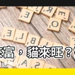 【狗來富 貓來】狗來富，貓來旺？破解毛孩招財迷思！