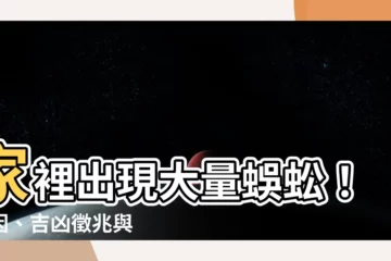 【家裡出現很多蜈蚣】家裡出現大量蜈蚣！原因、吉凶徵兆與 10 招有效驅逐法