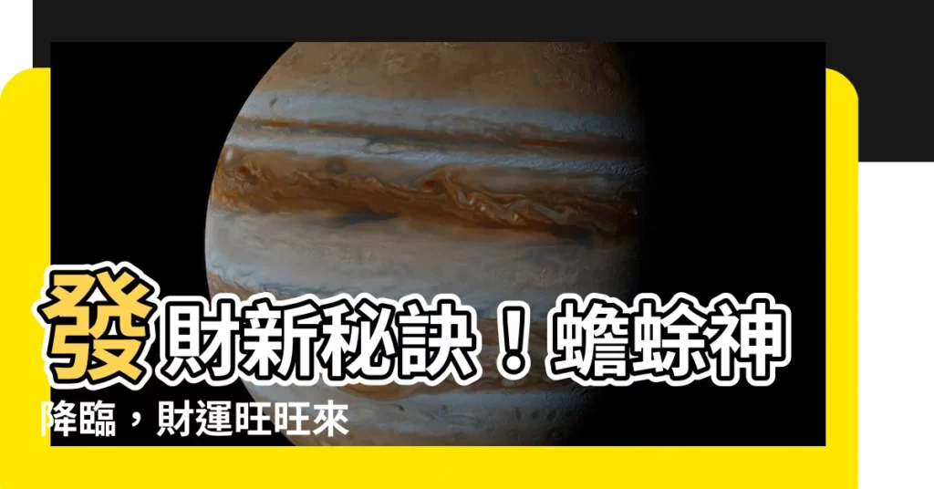 【蟾蜍神】發財新秘訣！蟾蜍神降臨，財運旺旺來
