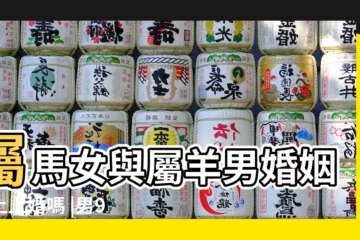 【男馬女羊2019年結婚】屬馬女與屬羊男婚姻是上上婚嗎 |男90馬女91羊結婚合適嗎屬馬男與屬羊女的婚姻 |女馬男羊2019年結婚吉日 |