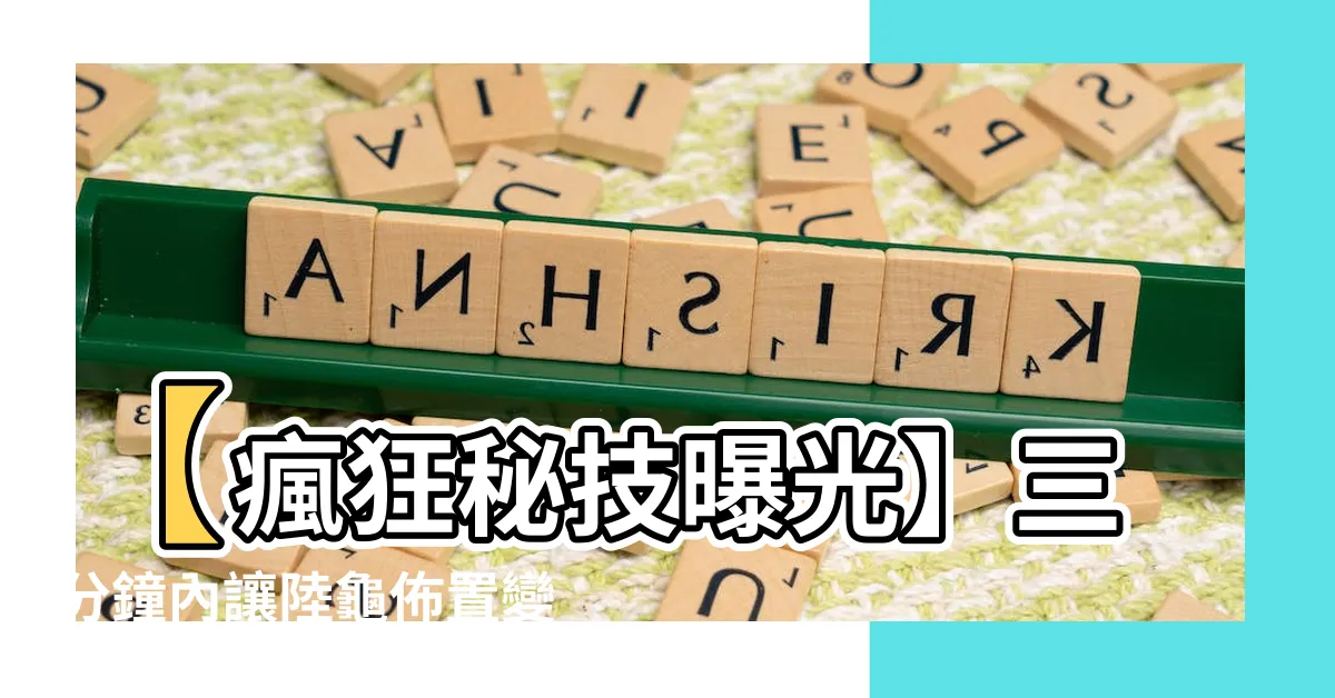 【陸龜佈置】【瘋狂秘技曝光】三分鐘內讓陸龜佈置變身寶石宮殿！