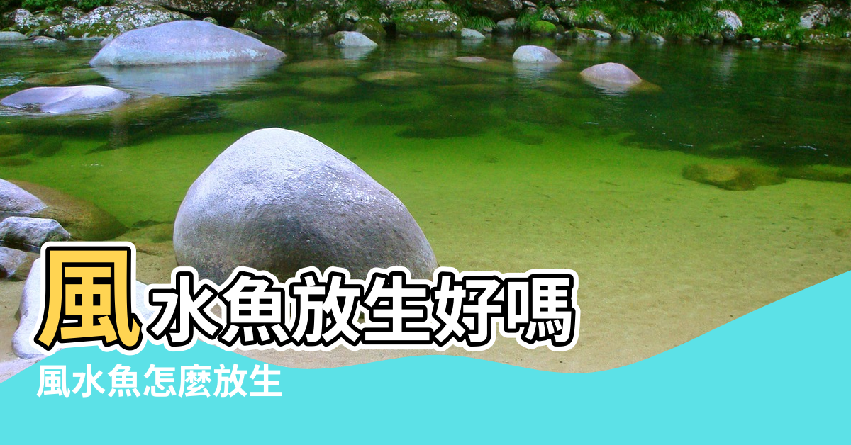 【風水魚怎麼放生】風水魚放生好嗎 |風水魚怎麼放生 |風水魚多了一條放生嗎 |