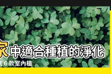 【家中適合種的植物】家中適合種植的淨化空氣 6 款室內植物，打造清新居家環境