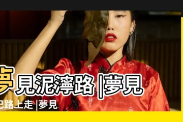 【做夢夢到路上都是泥巴】夢見泥濘路 |夢見泥巴路上走 |夢見泥巴路 |