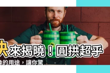 【圓拱】快來揭曉！圓拱超乎想像的用途，讓你驚嘆不已！