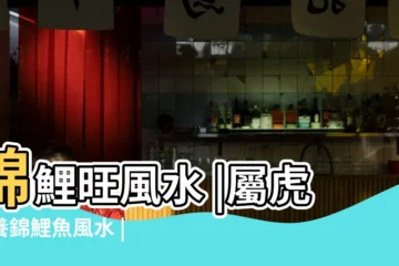 【錦鯉 風水】錦鯉旺風水 |屬虎人養錦鯉魚風水 |這品種奇數擺西方最招財 |