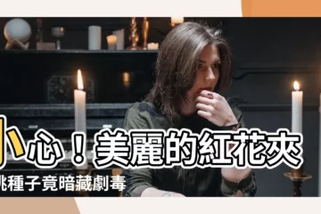 【紅花夾竹桃種子】小心！美麗的紅花夾竹桃種子竟暗藏劇毒
