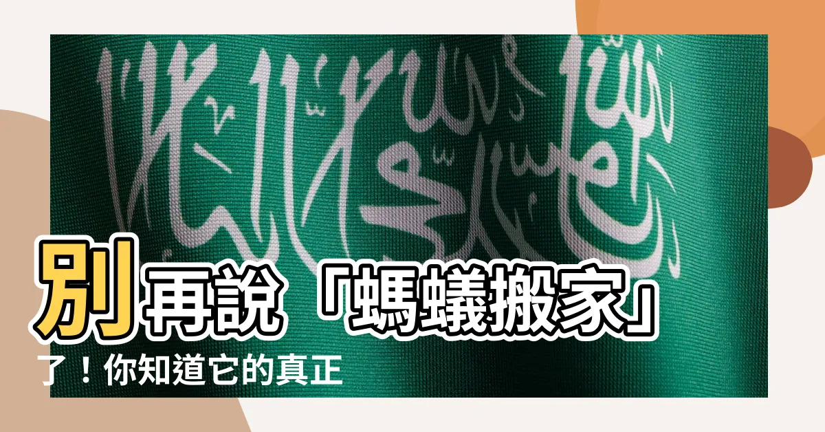 【螞蟻搬家意思】別再説「螞蟻搬家」了！你知道它的真正意思嗎？