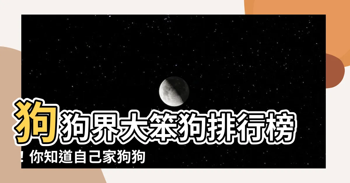 【大笨狗】狗狗界大笨狗排行榜！你知道自己家狗狗排第幾嗎？