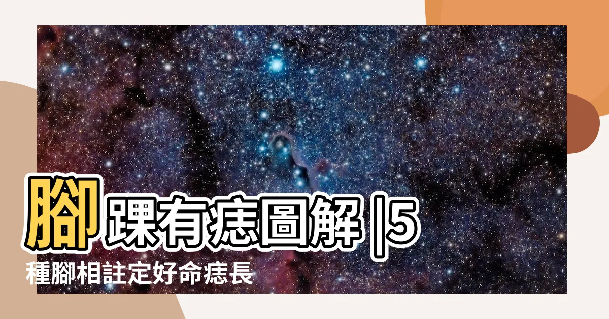 【右腳踝有痣】腳踝有痣圖解 |5種腳相註定好命痣長在這裡 |右腳踝有痣代表什麼含義解析 |