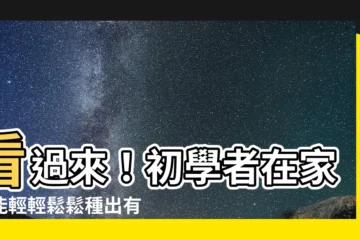 【初學者種菜】看過來！初學者在家也能輕輕鬆鬆種出有機蔬菜！